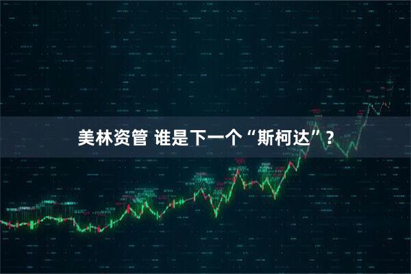 美林资管 谁是下一个“斯柯达”?