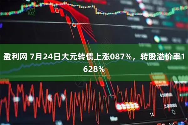 盈利网 7月24日大元转债上涨087%，转股溢价率1628%