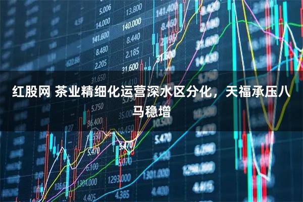 红股网 茶业精细化运营深水区分化，天福承压八马稳增
